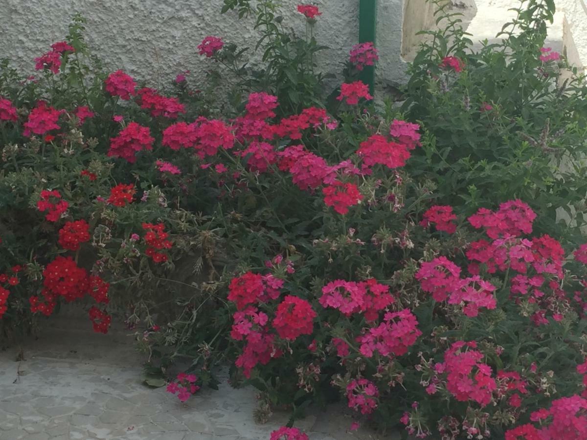 Appartamento Casa sul Mare - WIFI free - parcheggio privato San Foca Esterno foto